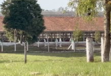 Ao menos 5 países e Europa vetam aves do Brasil por gripe aviária