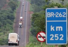 Consórcio ganha leilão da Rota da Celulose com deságio de 9%