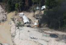 Garimpeiros do Pará têm maior exposição a ISTs, diz estudo