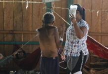 Governo registra queda de 21% em mortes de indígenas Yanomami