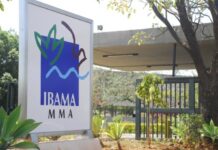 Ibama aprova plano da Petrobras para vazamento na Margem Equatorial