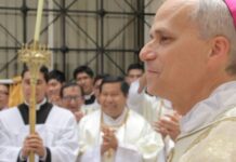 Políticos brasileiros comemoram escolha de novo papa
