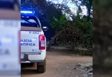 Idoso é executado a tiros em propriedade rural no interior de MS