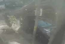 Ventos causam queda de árvores e deixam 76.000 sem energia em SP