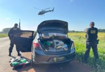 Com apoio de helicóptero, droga avaliada em cerca de R$ 1 milhão é apreendida em Dourados