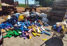 Mais de duas toneladas de maconha são incineradas em Vicentina