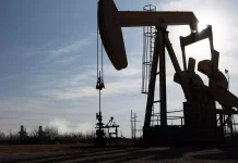 Ineep: quinto leilão da ANP arrecada R$ 989 milhões, mas aponta fragilidade da soberania energética do Brasil