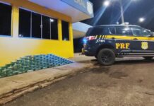 PRF apreende mais de R$ 5 milhões em cocaína e prende condutor de caminhão