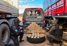 Cocaína avaliada em mais de R$ 4 milhões é apreendida pelo DOF em estepe de carreta