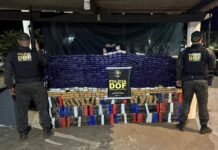 DOF apreende quase uma tonelada de maconha em veículo abandonado