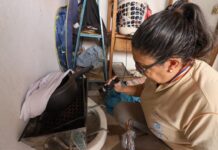 Mato Grosso do Sul registra 13,7 mil casos de dengue em 2025 e autoridades mantêm alerta