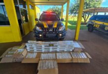 PRF apreende quase 300 quilos de maconha em cabine de caminhão