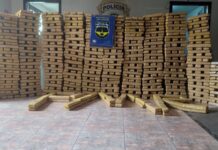 PMR prende homem com mais de uma tonelada de maconha em veículo furtado