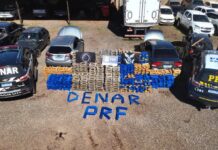 Ação conjunta DENAR e PRF apreende duas toneladas de maconha