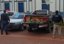 Hilux furtada é apreendida com mais de duas toneladas de maconha