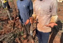 Sete paraguaios são resgatados de trabalho análogo à escravidão em Itaquiraí