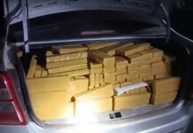 Traficante com quase meia tonelada de maconha em veículo roubado é preso pela PRF