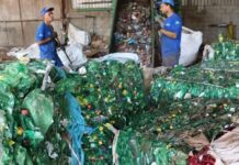 MS lidera ranking nacional de Logística Reversa de Embalagens com maior índice de reciclagem por habitante