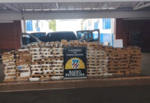 Polícia apreende mais de meia tonelada de maconha e pacotes de skunk