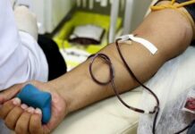 Em MS, mais de 52 mil bolsas de sangue foram coletadas em 2024