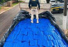 Motorista é preso transportando mais de 3,5 toneladas de maconha na BR-163