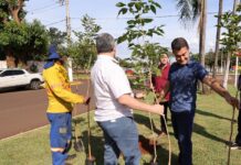 No Dia Mundial do Meio Ambiente, prefeito faz plantio de Ipês na Marcelino Pires