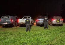 Comboio de veículos furtados é apreendido, mas motoristas conseguem escapar