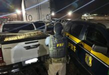 Polícia apreende duas toneladas de maconha e recupera caminhonete furtada