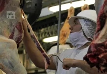 Novos embarques de carne bovina do Brasil aos EUA estão “sob análise” por frigoríficos, diz Abiec