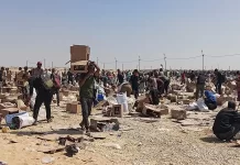 Mais de 600 palestinos foram mortos perto de comboios de ajuda humanitária em Gaza, aponta ONU