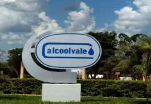 Usina de açúcar e álcool oferta vagas de emprego em Aparecida do Taboado