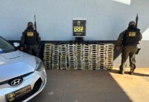 DOF apreende mais de R$ 700 mil em drogas e prende traficante em Iguatemi