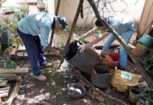 MS registra mais de 13 mil casos de dengue em 2025 e alerta para avanço da Chikungunya