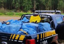 PRF apreende mais de R$ 2,5 milhões em drogas escondidas em carga de recicláveis