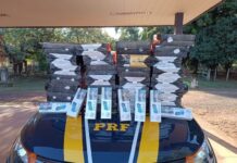 PRF apreende 3 mil maços de cigarros contrabandeados e prende três pessoas
