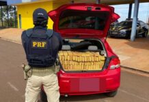 PRF apreende mais de meia tonelada de maconha e prende trio por tráfico