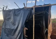 Mais 75 famílias recebem títulos de terreno para regularização de ocupações em Dourados