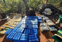 Operação no Paraguai ‘derruba’ centro de processamento de maconha destinada ao Brasil