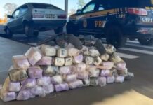 Carga com quase 13 kg de cocaína e armas é interceptada na BR-158