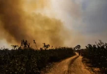 Com avanço de estiagem, queima controlada será suspensa em Mato Grosso do Sul