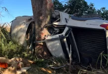 Mortes sobem para 4 em acidente após caminhonete colidir com árvore em MS