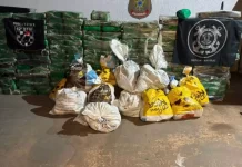 Polícia encontra mais de 1 tonelada de maconha escondida em ilha no Porto Caiuá