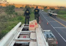 Motorista abandona carreta com 25 mil pacotes de cigarros contrabandeados em Mundo Novo
