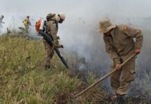 Chuvas e frio reduzem em 92,8% as queimadas no Pantanal no 1º semestre