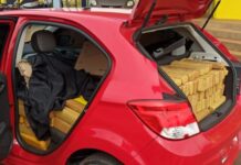 PRF apreende mais de meia tonelada de maconha e prende trio