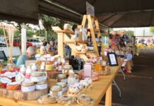 Feira dos Ipês terá show, pintura facial, pipoca e algodão-doce de graça