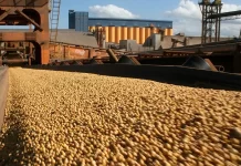 BNDES aprova R$ 10 bilhões em crédito no início do Plano Safra 2025/2026