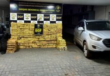 Veículo roubado com quase uma tonelada de maconha é apreendido pelo DOF