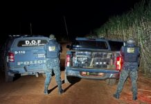 Traficante foge do DOF e abandona S-10 com R$ 3,5 milhões em drogas
