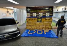 Veículo roubado com mais de uma tonelada de maconha é apreendido pelo DOF